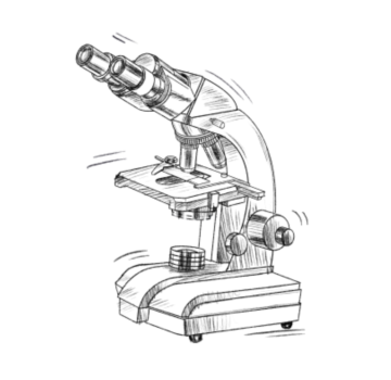 Endokrinologie