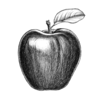 Procedure